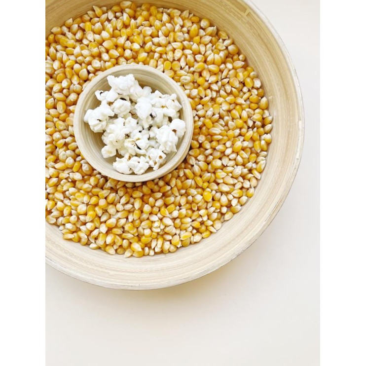 MAIZ PARA PALOMITAS 