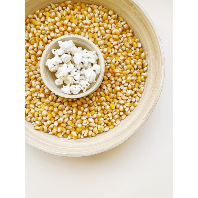 MAIZ PARA PALOMITAS 
