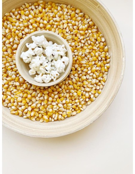 MAIZ PARA PALOMITAS 
