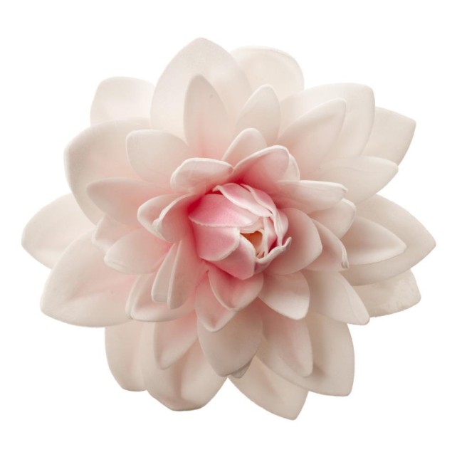 DALIA GIGANTE ROSA OBLEA 12 5CM - DEKORA