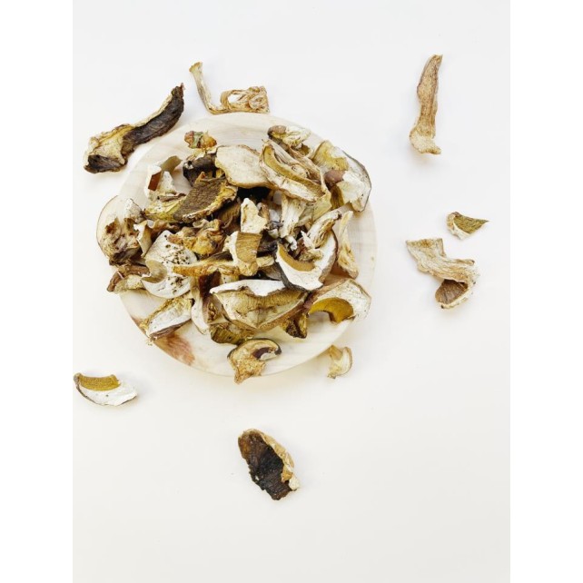 BOLETUS DESHIDRATADOS