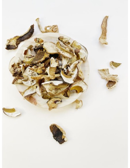 BOLETUS DESHIDRATADOS