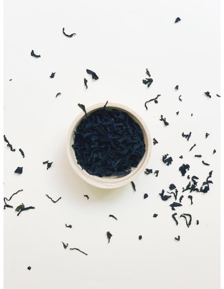 ALGA WAKAME