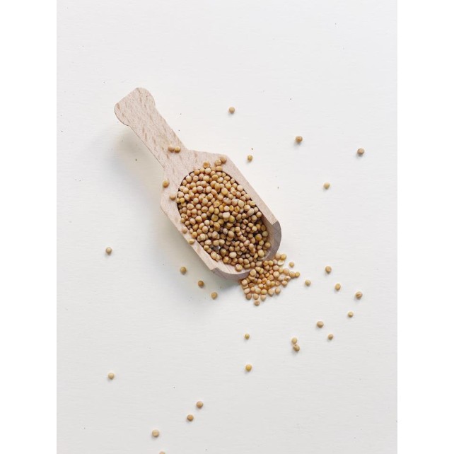 MOSTAZA AMARILLA EN GRANO