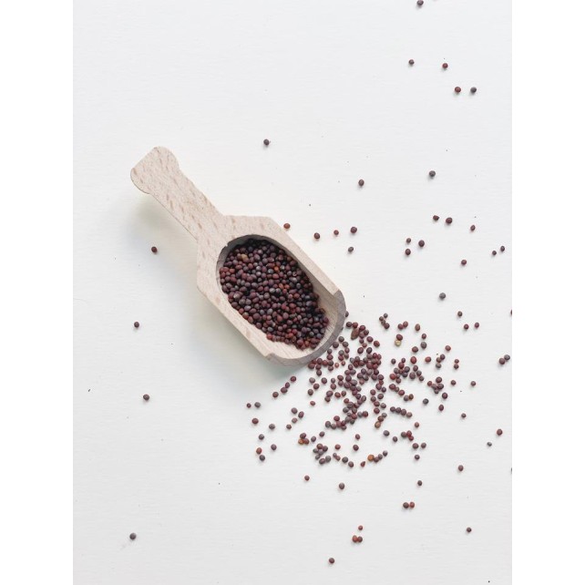MOSTAZA MARRON EN GRANO