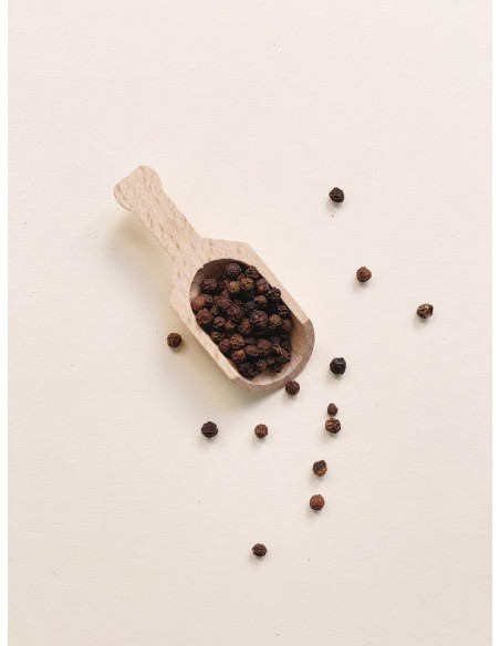 PIMIENTA NEGRA EN GRANO