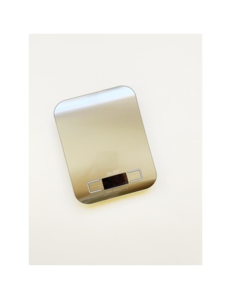 BÁSCULA METALICA DIGITAL - IBILI