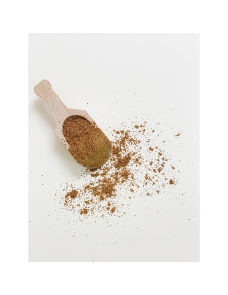 CINCO ESPECIAS CHINAS