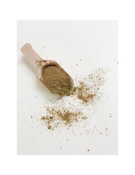 ESPECIAS BARBACOA MOLIDAS