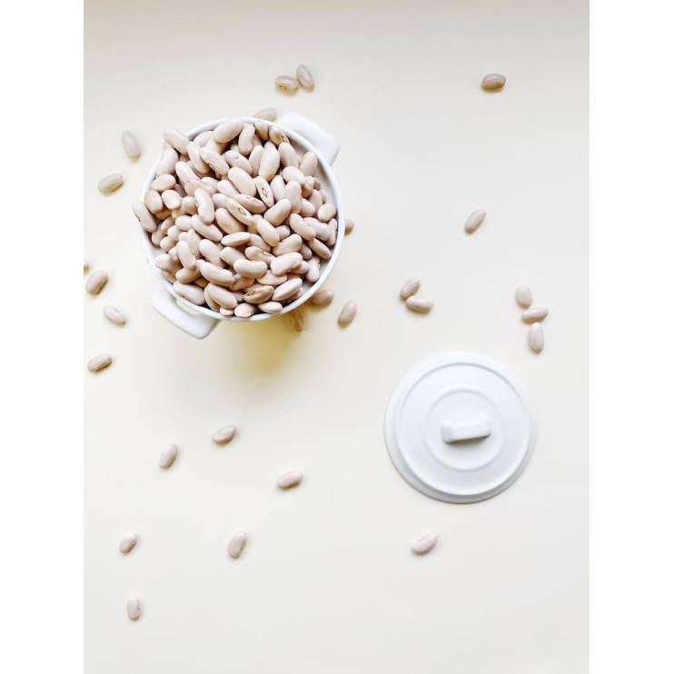 ALUBIA CANELA DE LEÓN