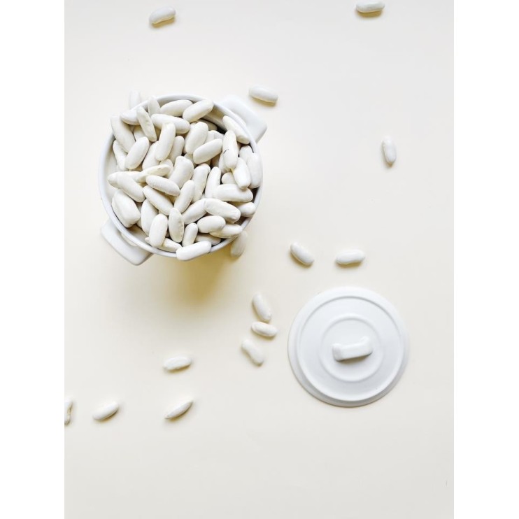 ALUBIA DE FABADA ASTURIANA