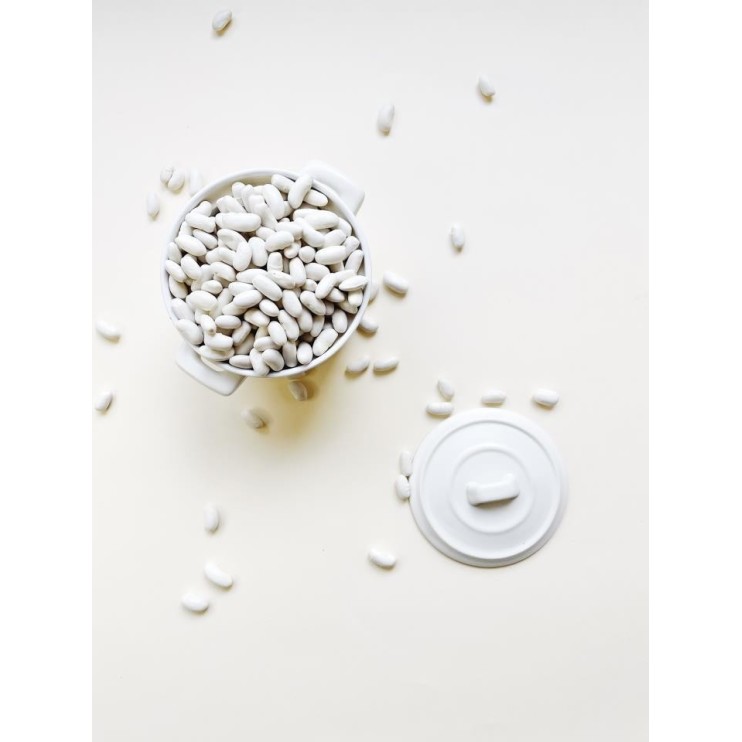 ALUBIA RIÑÓN DE LEON