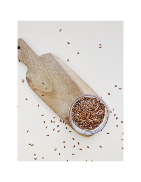 SEMILLAS DE LINO MARRON