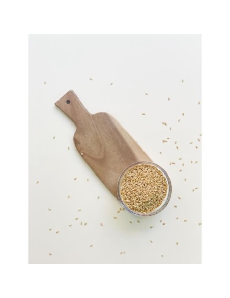 SEMILLAS DE LINO DORADO