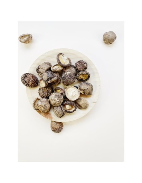 SHIITAKE DESHIDRATADA