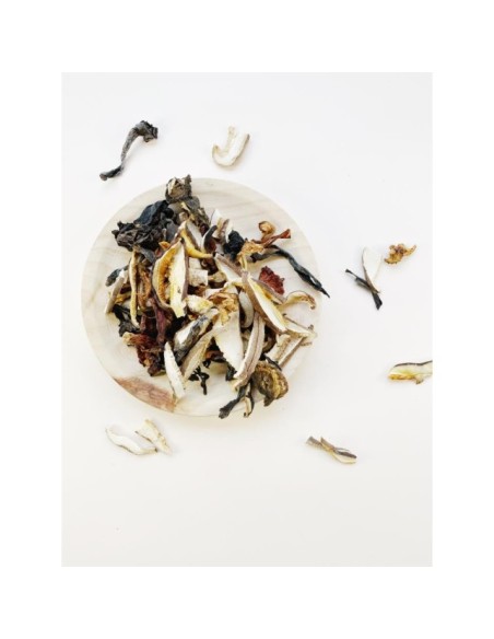 MEZCLA DE SETAS DESHIDRATADAS